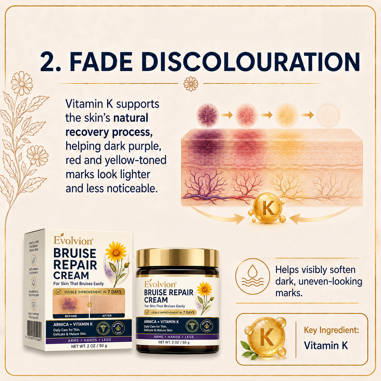 🌿💐Evolvion® Bruise Repair Cream-Advanced daily care for bruise-prone skin