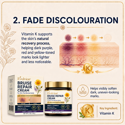 🌿💐Evolvion® Bruise Repair Cream-Advanced daily care for bruise-prone skin