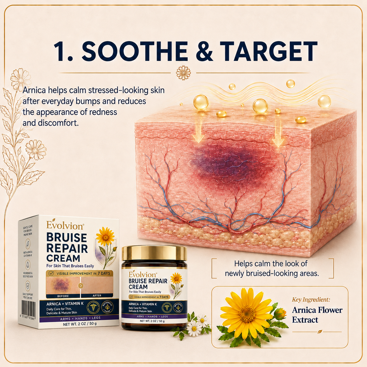 🌿💐Evolvion® Bruise Repair Cream-Advanced daily care for bruise-prone skin