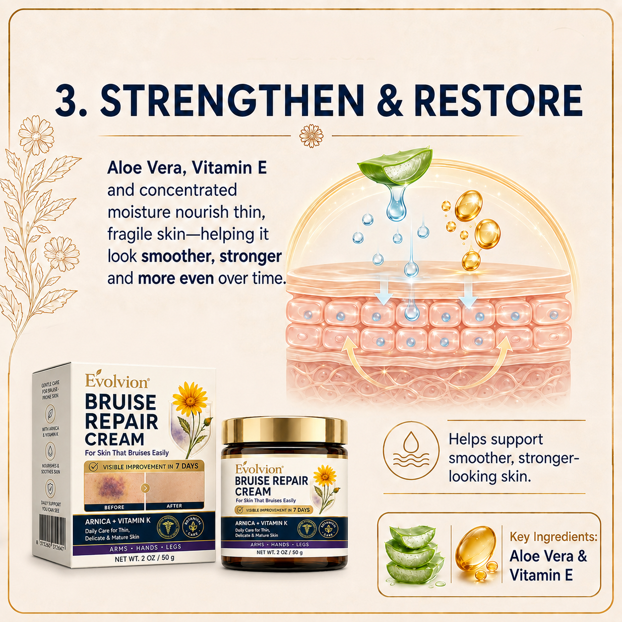 🌿💐Evolvion® Bruise Repair Cream-Advanced daily care for bruise-prone skin